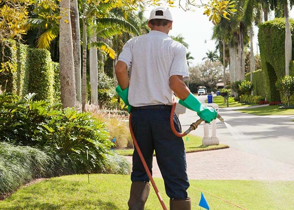 About Quartzsite AZ Pest Control